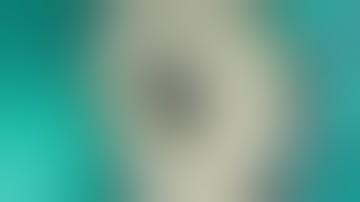 Working Length Estimation