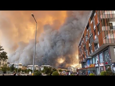 @NTV  Çanakkale'de orman yangını