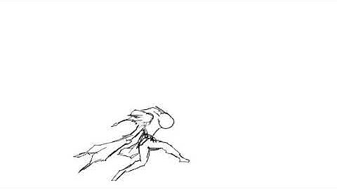 Rough animator Broly