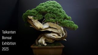 [4K] Taikanten Bonsai Exhibtion 2023 LONG