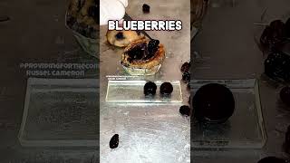 Ordinary blueberry muffin short