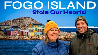 [NEWFOUNDLAND] Fogo Island...The Views, The Hiking, The Caribou and The Icebergs!!