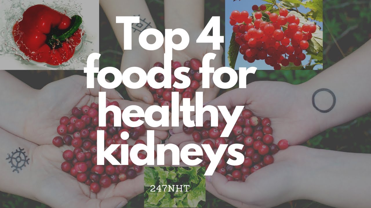 Top 4 foods for healthy kidneys What foods are good for kidney repair? 247nht YouTube