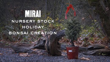 Nursery Stock Holiday Bonsai Creation