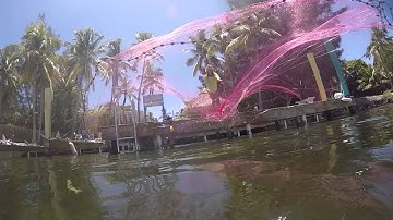 Pancakes First Chasten Whitfield Cast Net