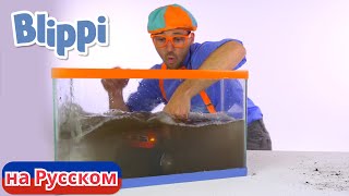 :   ! |    |       | Blippi