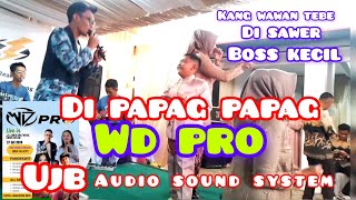 DI PAPAG PAPAG||WD PRO||WAWAN TEBE||VERSI KUDRENG MUANTAP