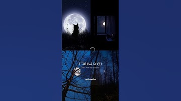 سَبِّحِ اسْمَ رَبِّكَ الْأَعْلَى - سورة الاعلى - عبد الرحمن مسعد