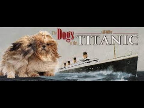 How Many Dogs