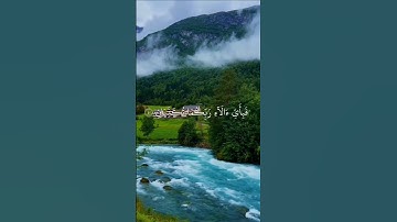 سورة الرحمن #محمد_اللحيدان #ياسر_الدوسري #عبدالرحمن_مسعد #قرآن #quran #قران_كريم #تلاوة #اجر_لي_ولك