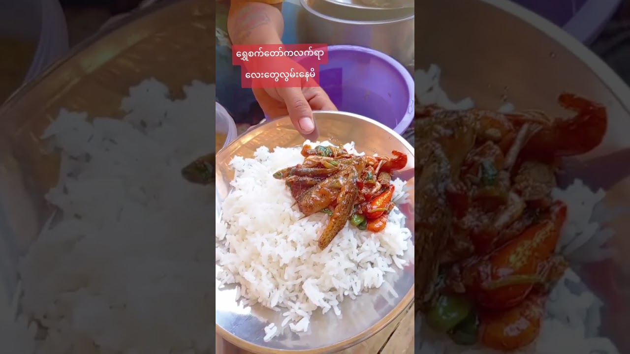 ရွှေစက်တော်ကခေါင်းရွက်သည်လေးတွေစားလို့လဲကောင်းစျေးလဲတန်