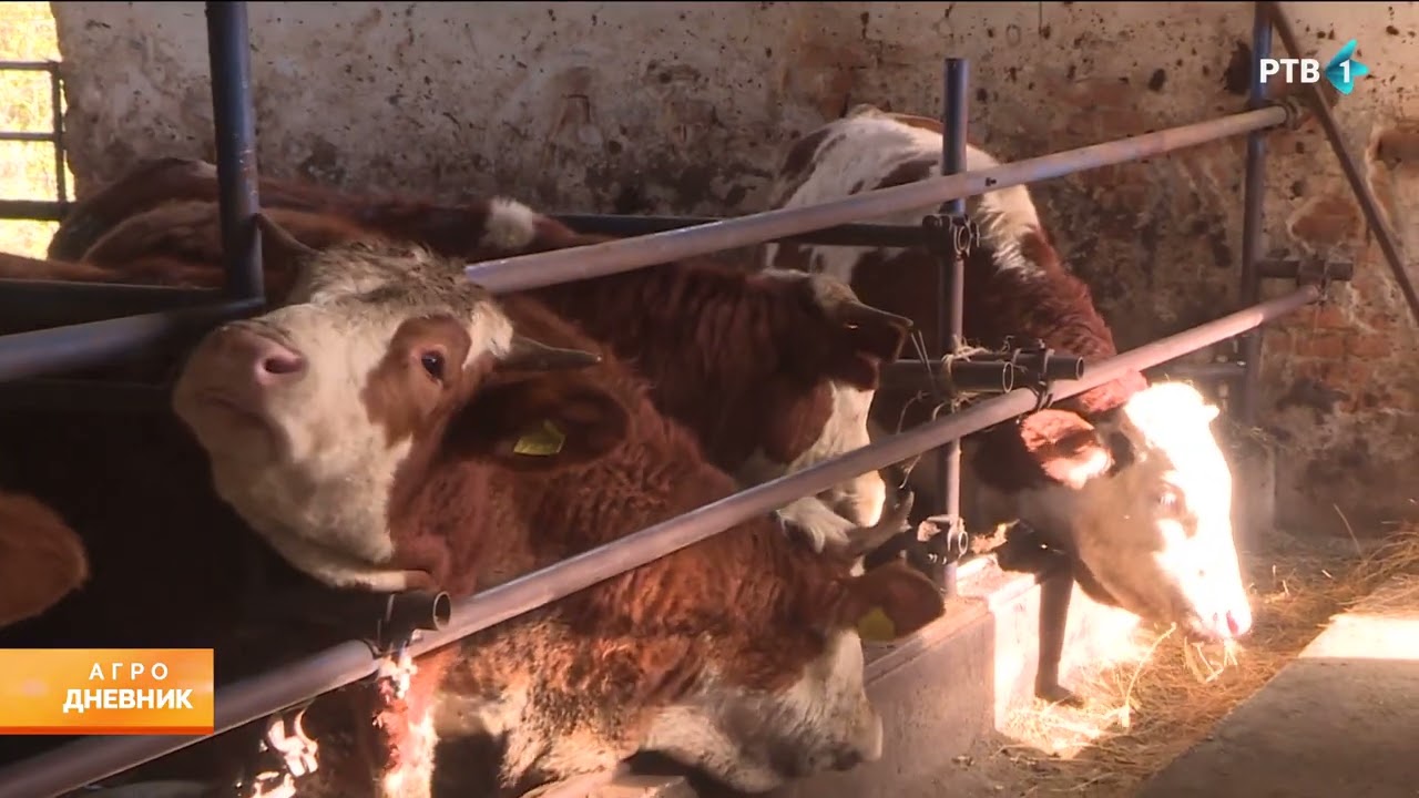 Agrodnevnik | 25.02.2026.