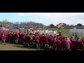 PRG Drumline Grey/Bloem 2022