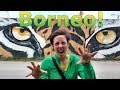 Borneo! | Exploring Kota Kinabalu!