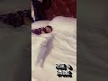 #love #cute
