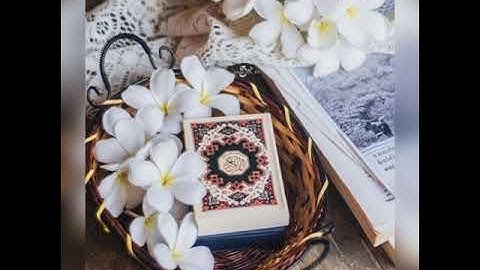 الثمن السابع من الحزب الثامن سورة النساء