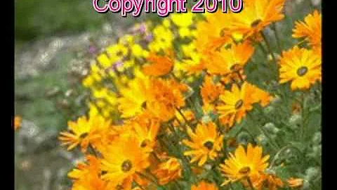 "Shining Through" Original song by Marlene Morrow