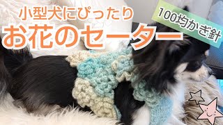 【かぎ針犬用セーター】立体花モチーフをつないで可愛い犬用セーターを編んでみました