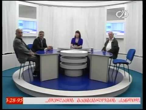 თოქ-შოუ \'დიალოგი\' - 06/06/2014 (ნაწილი მეორე)