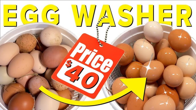 Egg Brush Washer - Silicone Egg Brush for Cleaning Fresh Eggs, Egg