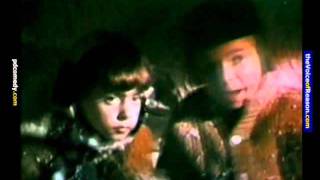 Wild Bear Viciously Attacks Two Small Children.