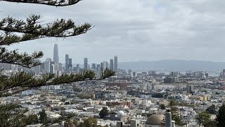 3616 21st St. a beautiful single-family home in a fabulous location