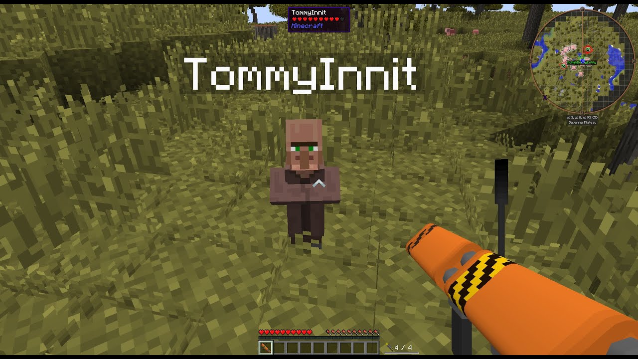 POV: You meet TommyInnit.. #Shorts