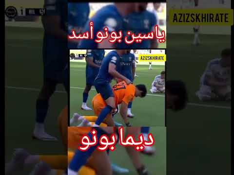 ياسين بونو أسد ديما بونو
