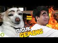 WALAU AKU ANJING TAPI JANGAN PANGGIL AKU ANJING!!! Dog Simulator [SUB INDO] ~Lebih Comel Dan Bar2!!