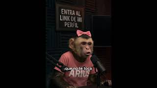 Denle torociones al pobre 🤡 #podcastia #hablandocapuchino #podcasts #humor #ia #humortiktokespañoll