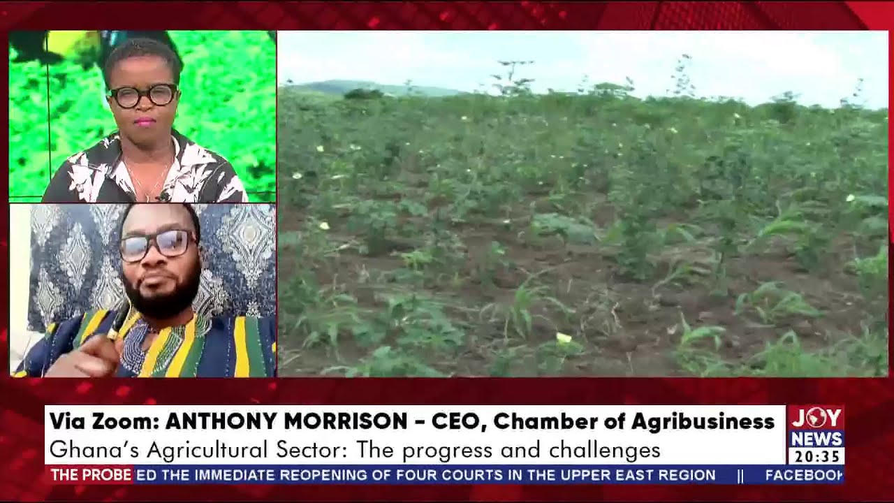 Ghana Agricultural Sector: The progress and challenges | The Probe