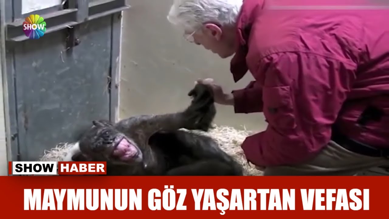 Klinika porno video seriyasi Retro guruh jinsiy porno