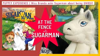 Puppet Experience  | The Adventures of Sugarman the Pony