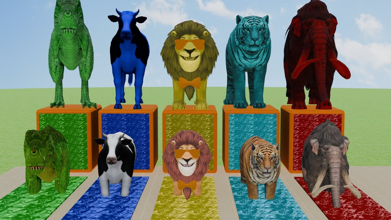 Choose the right pool and slide animals challenge with cow, tiger, dinosaur, lion and mammoth