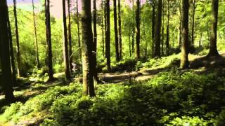 Cable Cam Test - Cann Woods