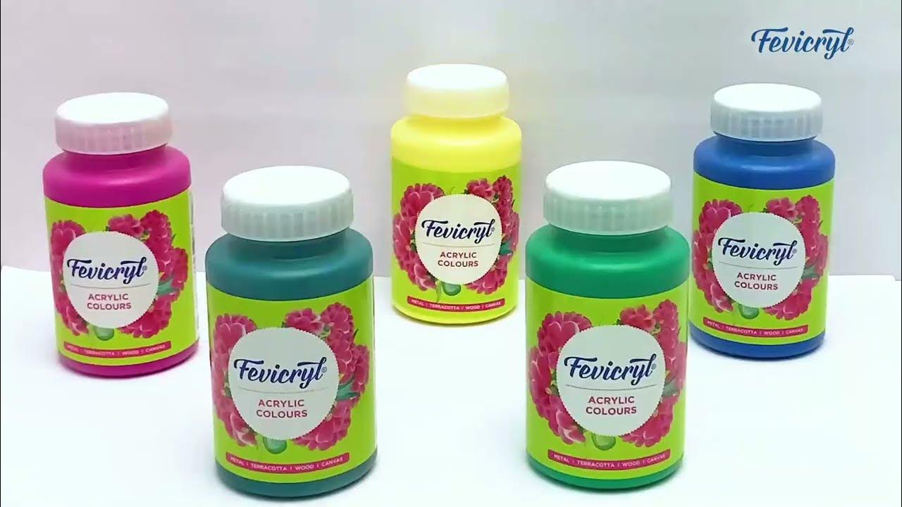 Create Masterpieces with Fevicryl Acrylic Colours Fevicryl Hobby