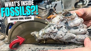 So Happy To Cut These Agatized Coral Geodes Open!