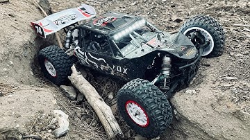 DB PRO BACKYARD BASH