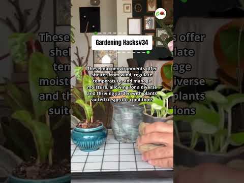 Create Microclimates #shorts