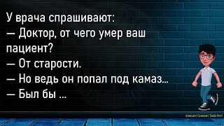 💎Беседуют Два Арабских Шейха...Большой Сборник Весёлых Анекдотов,Для Хорошего Настроения!