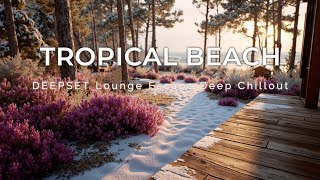 картинка: Расслабляющая Музыка Chillout & Deep House: Пляжный Лаунж на Закате ~ Тропический Зимний Отдых