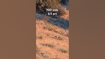 6.5 prc 700 yrds #muledeerhunting #longrangehunting