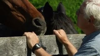 Лошади помогают исправиться американским заключённым (новости) http://9kommentariev.ru/ Лошади помогают исправиться американским заключённым (новости) http://9kommentariev.ru/