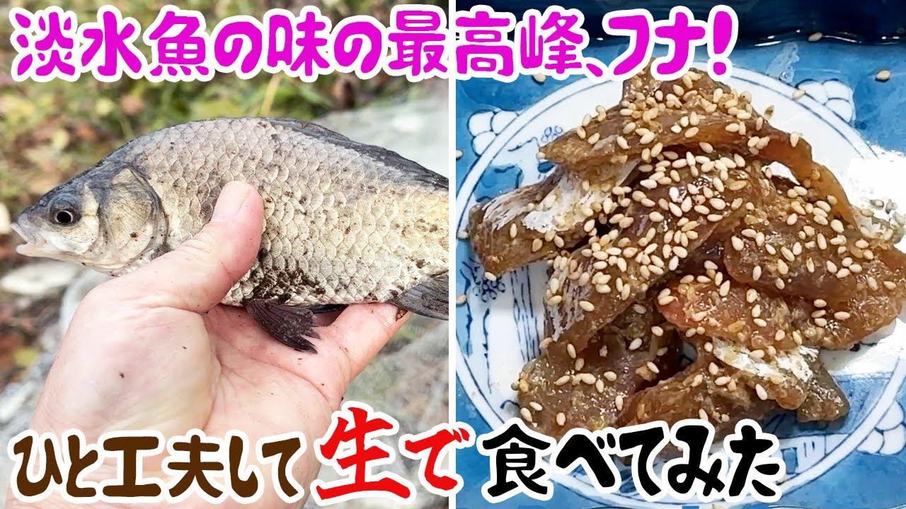 淡水魚の味の最高峰！フナをひと工夫して生で食べてみた