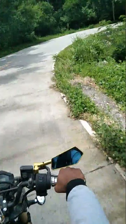 Paluan road