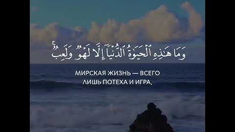 حالات واتس اب دينية للقارئ الشيخ محمد اللحيدان ❤