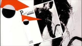 Paul Carrack - When You Walk in the Room