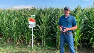 2022 DKC56-15RIB