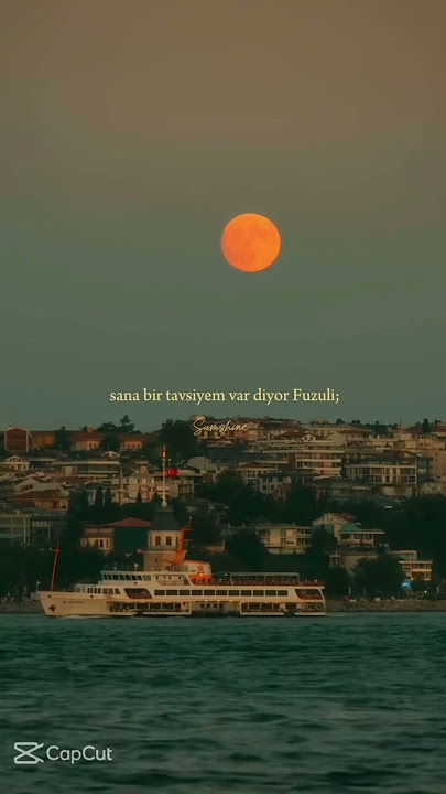 Ayten Rasul – Yanlışımsan 💔 | #shorts #turkishmusic