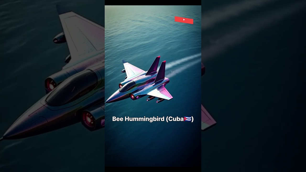 Nature 2.0: BIRDS Enlist as Fighter Jets - Animal Armada